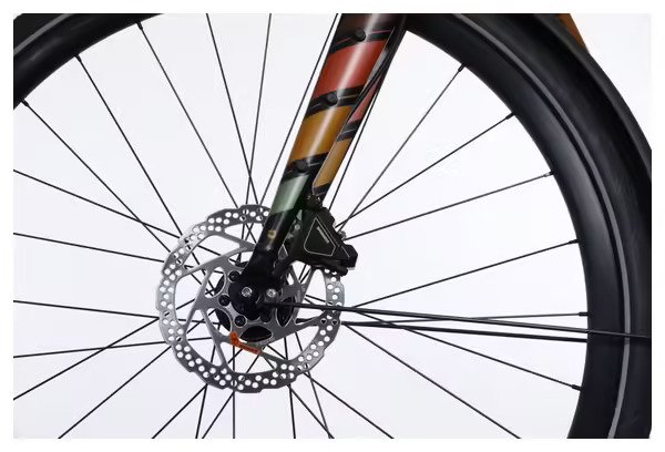 6102759.jpg Vélo de Ville Électrique Bergamont E-Sweep Sport Shimano Claris 8V Mahle 250Wh Orange - Vélo d'Exposition / Très bon État