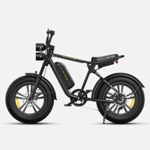 ENGWE M20
